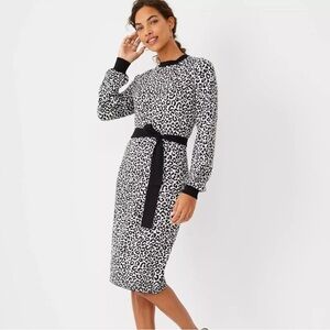 NWT XXSP Ann Taylor Cheetah Sweater Dress